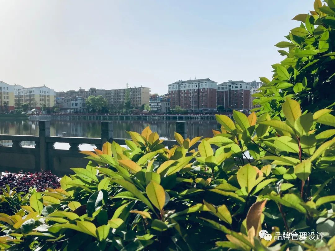 1683610904874568.jpg a3.jpg