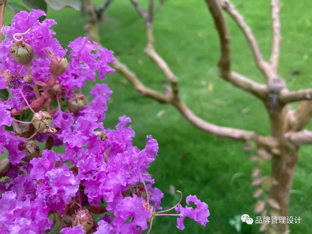 1690787735287271.jpg 014.jpg